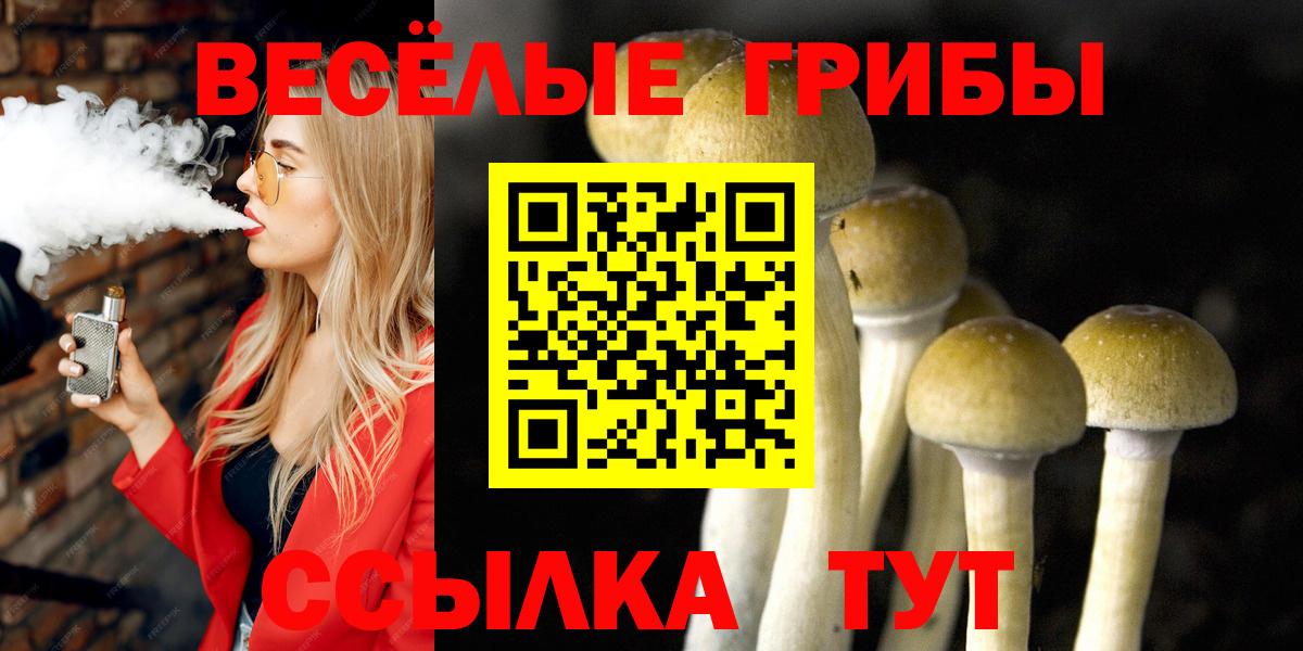 Галлюциногенные грибы мухоморы Кыштым