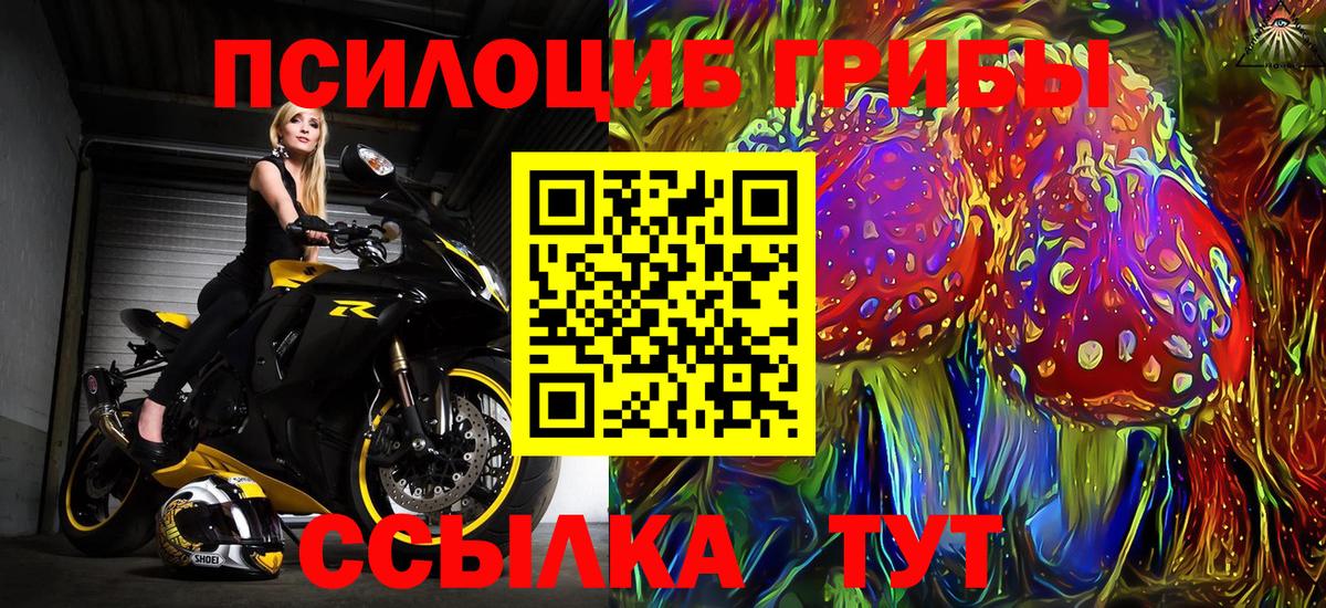 даркнет сайт  Псилоцибиновые грибы Psilocybine cubensis  Вход с VPN  Кыштым 